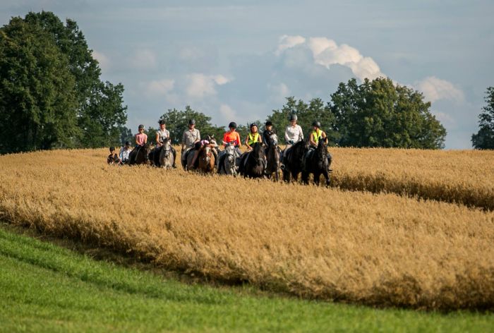 Châteaux historiques dans la Mazurie
