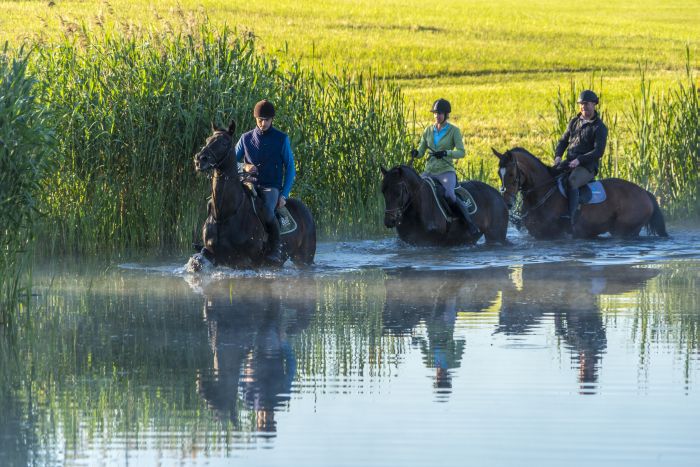 Châteaux historiques dans la Mazurie