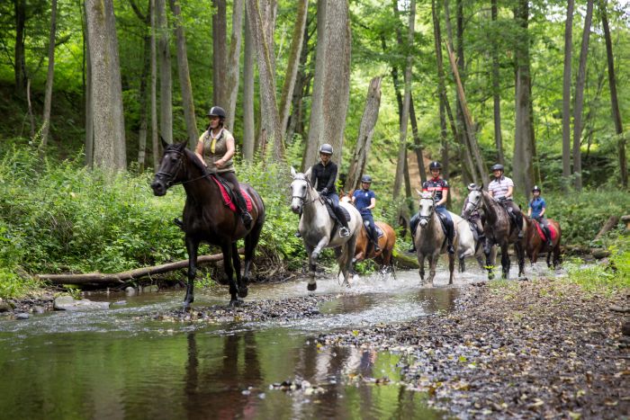 Châteaux historiques dans la Mazurie