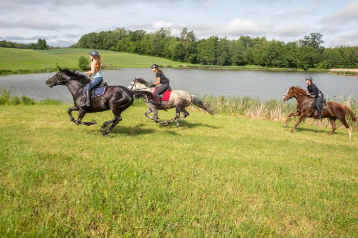 Châteaux historiques dans la Mazurie