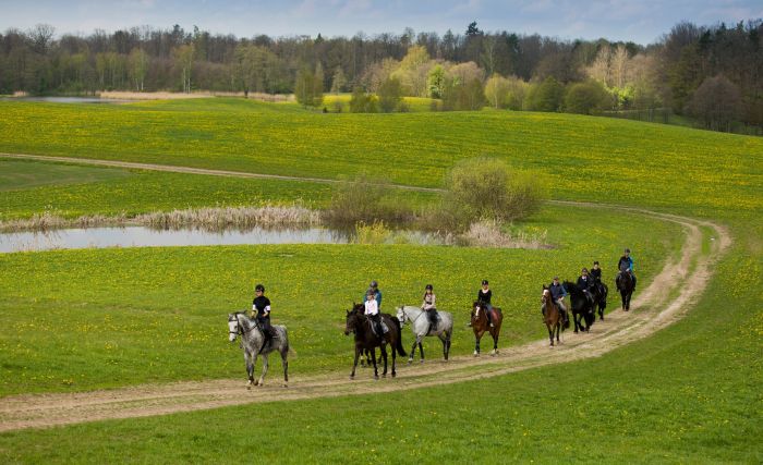 Châteaux historiques dans la Mazurie