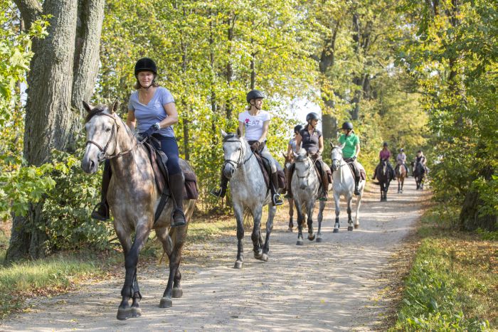 Châteaux historiques dans la Mazurie