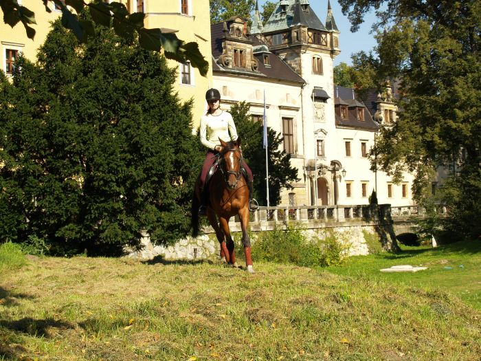 Château de conte de fées en Basse-Silésie