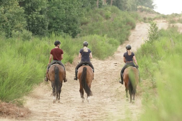Randonnées en étoile dans le parc national De Meinweg