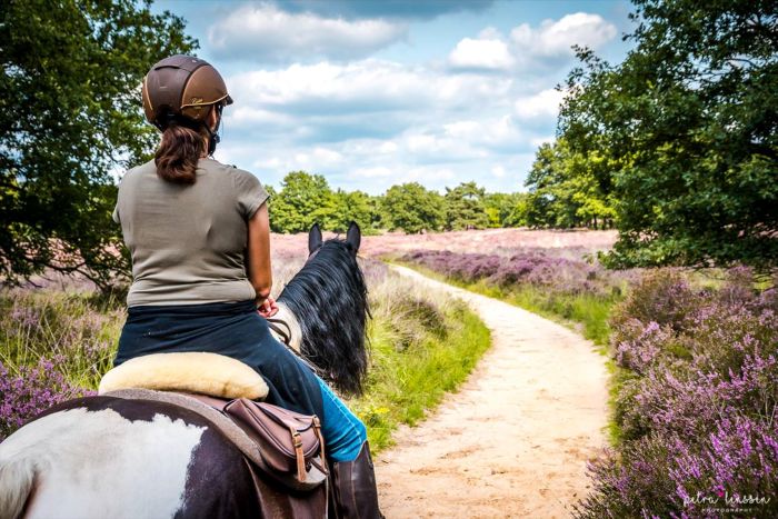 Randonnées en étoile dans le parc national De Meinweg
