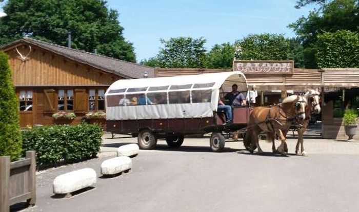 Randonnées en étoile dans le parc national De Meinweg