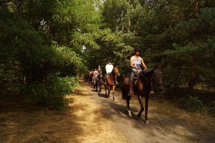 Randonnées en étoile dans le parc national De Meinweg