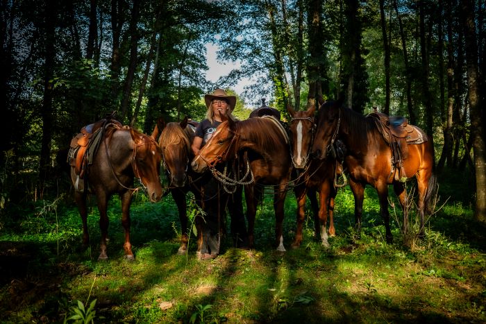 &Eacute;quitation western en Hongrie