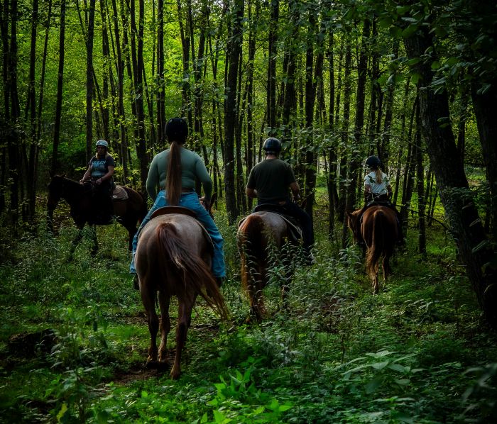 &Eacute;quitation western en Hongrie