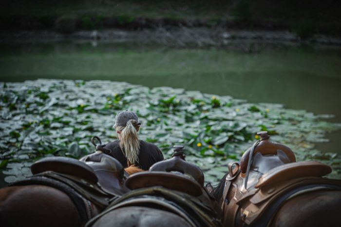 &Eacute;quitation western en Hongrie