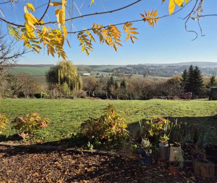 &Eacute;quitation western en Hongrie