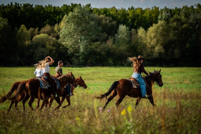 &Eacute;quitation western en Hongrie