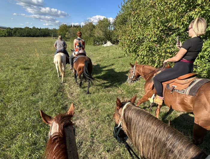 &Eacute;quitation western en Hongrie