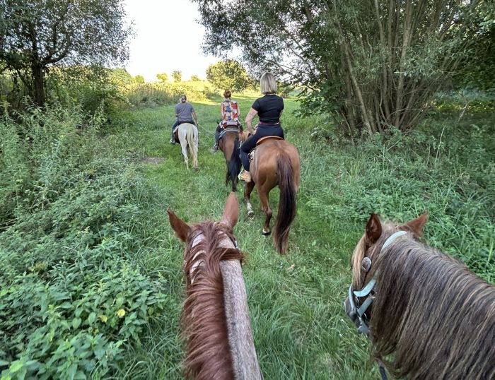 &Eacute;quitation western en Hongrie