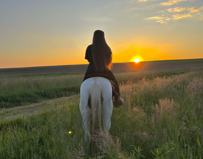 &Eacute;quitation western en Hongrie