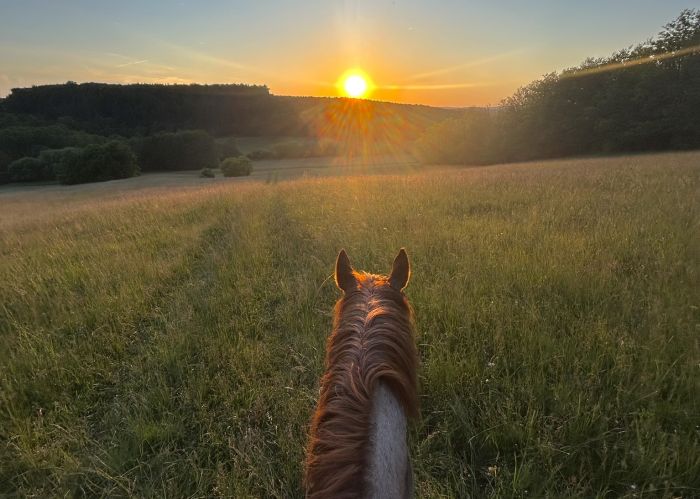 &Eacute;quitation western en Hongrie