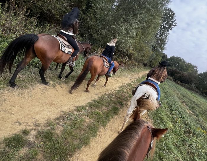 &Eacute;quitation western en Hongrie