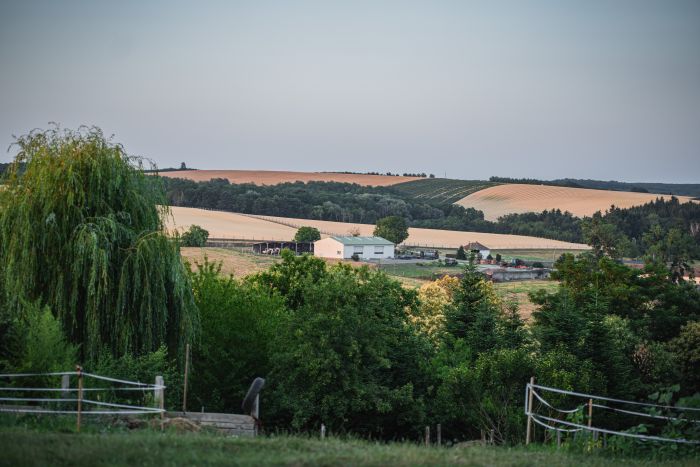 &Eacute;quitation western en Hongrie