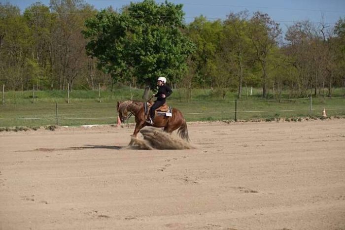 &Eacute;quitation western en Hongrie