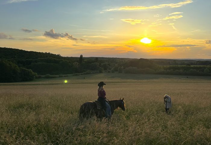 &Eacute;quitation western en Hongrie