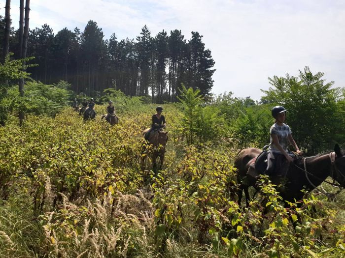 Chevauch&eacute;e en &eacute;toile &agrave; travers les steppes hongroises 7/5 jours)
