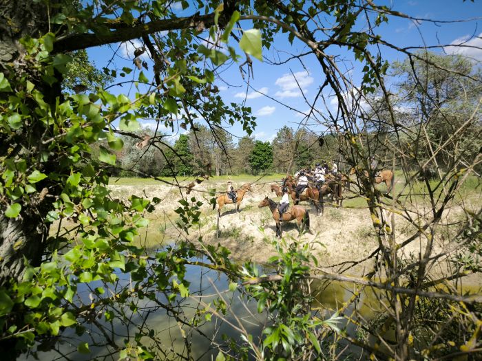 Chevauch&eacute;e en &eacute;toile &agrave; travers les steppes hongroises 7/5 jours)