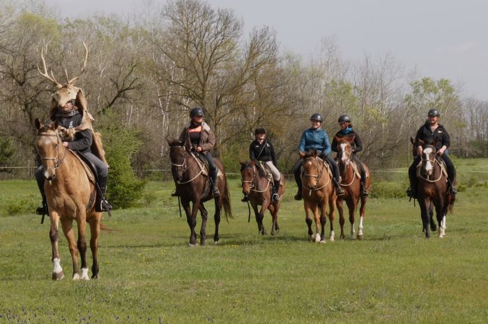 Chevauch&eacute;e en &eacute;toile &agrave; travers les steppes hongroises 7/5 jours)