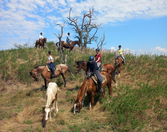 Chevauch&eacute;e en &eacute;toile &agrave; travers les steppes hongroises 7/5 jours)
