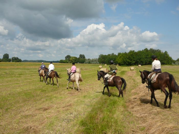 Chevauch&eacute;e en &eacute;toile &agrave; travers les steppes hongroises 7/5 jours)