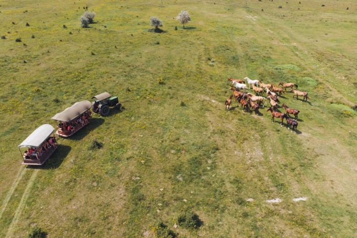 Chevauch&eacute;e en &eacute;toile &agrave; travers les steppes hongroises 7/5 jours)