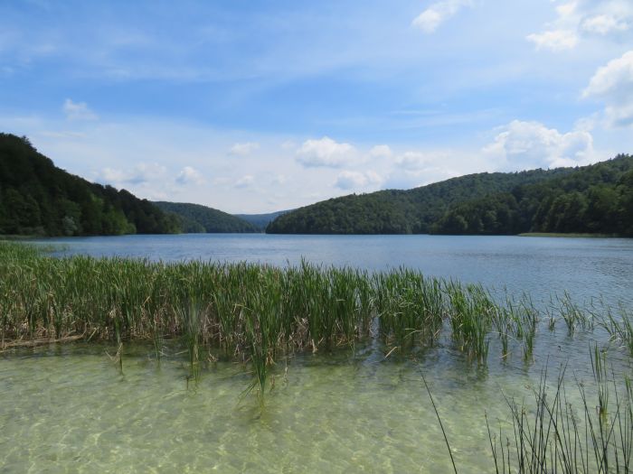 Randonnée en Plitvice, au pays des lacs en chute