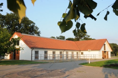 Vacances dans dans la lande du Lunebourg ( opt. avec son propre cheval)