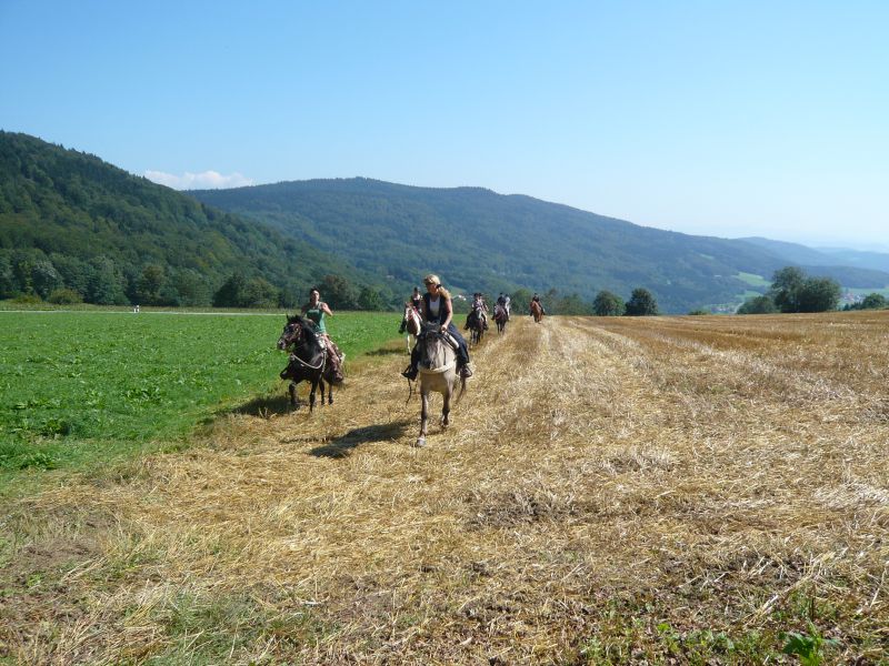 Equitation western dans la forêt bavaroise