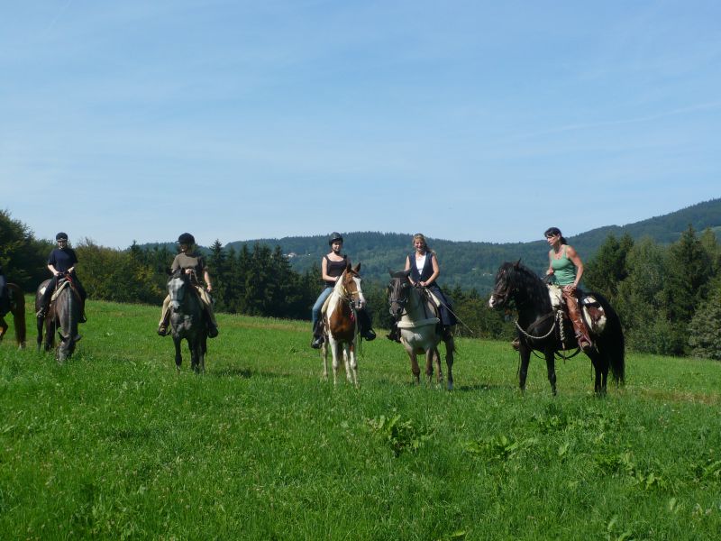 Equitation western dans la forêt bavaroise