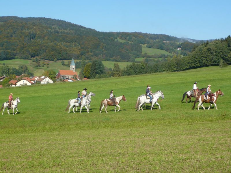 Equitation western dans la forêt bavaroise