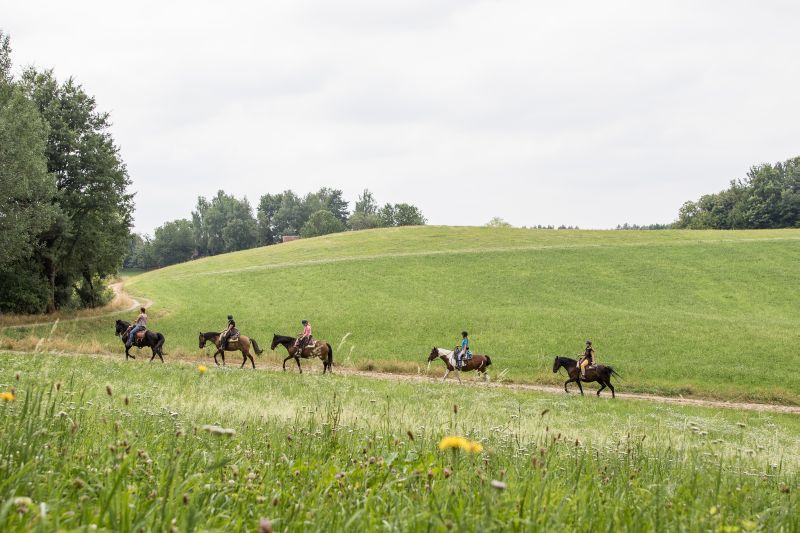 Equitation western dans la forêt bavaroise