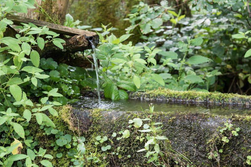 Equitation western dans la forêt bavaroise