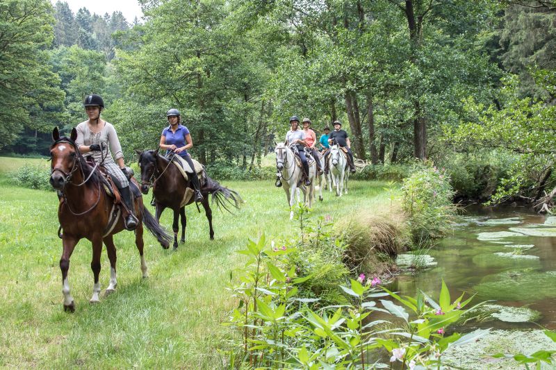 Equitation western dans la forêt bavaroise