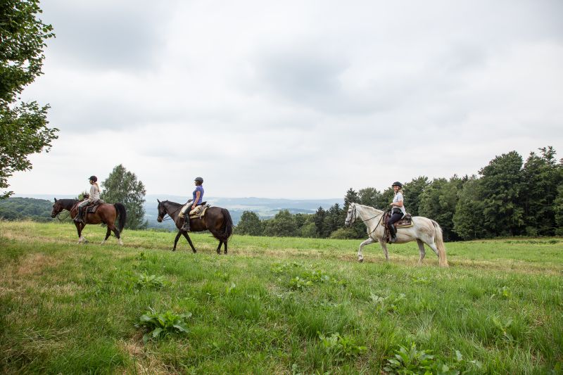 Equitation western dans la forêt bavaroise