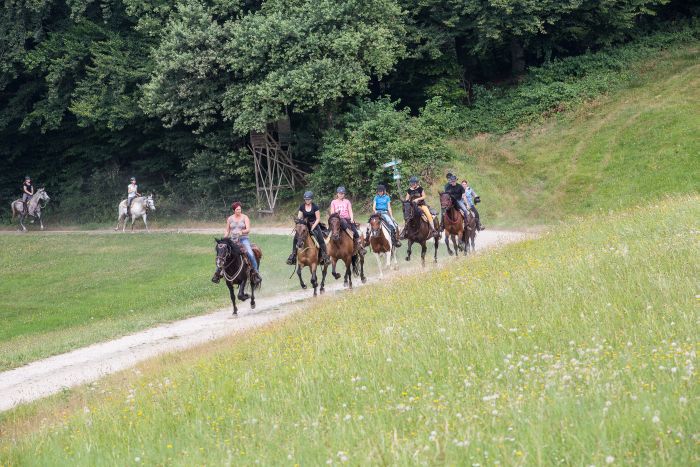 Equitation western dans la forêt bavaroise