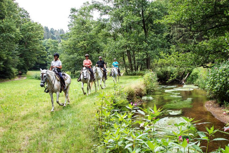 Equitation western dans la forêt bavaroise