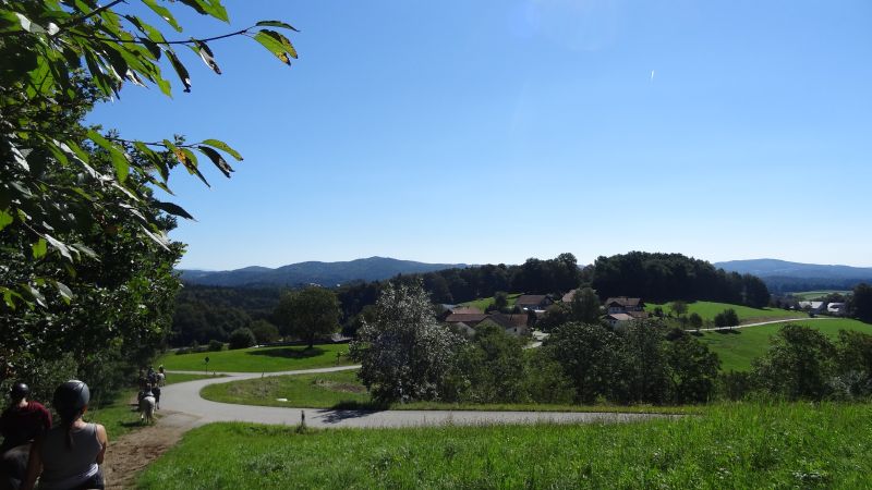 Equitation western dans la forêt bavaroise