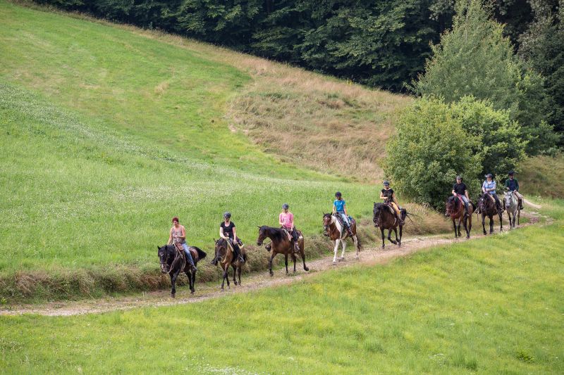 Equitation western dans la forêt bavaroise