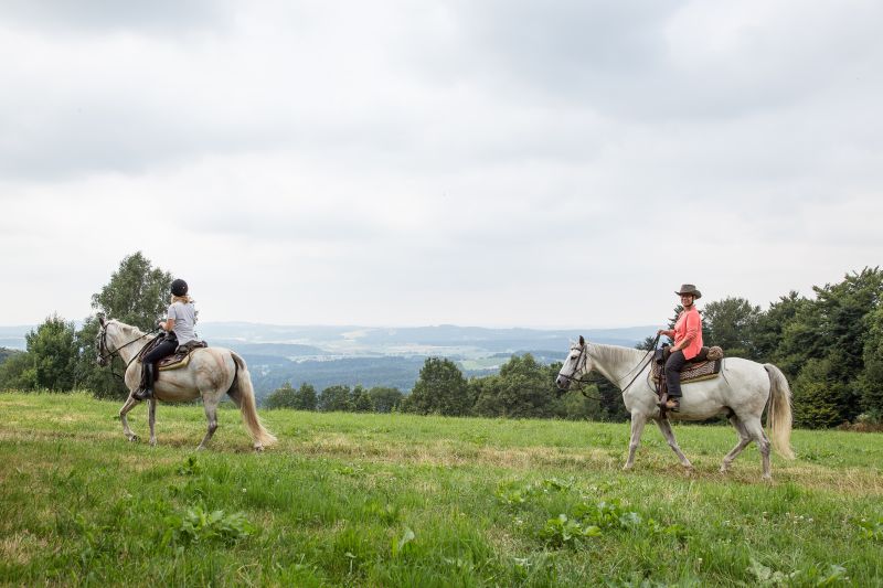 Equitation western dans la forêt bavaroise