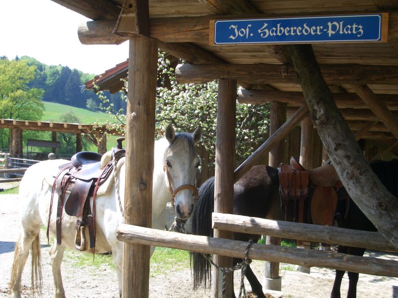 Equitation western dans la forêt bavaroise