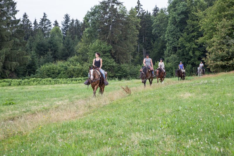 Equitation western dans la forêt bavaroise