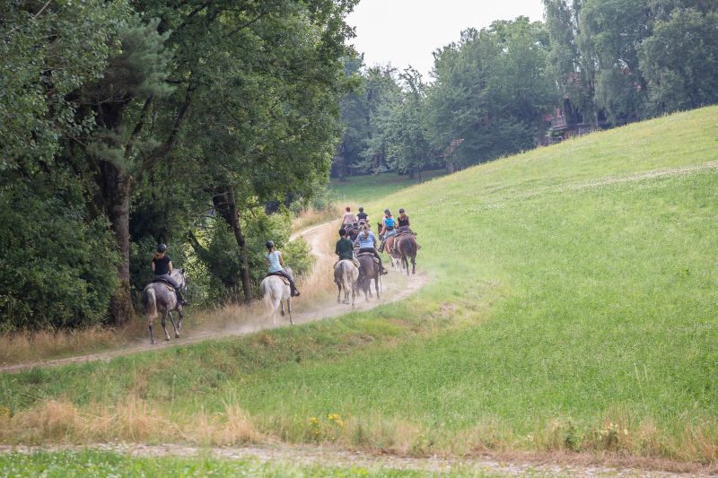 Equitation western dans la forêt bavaroise