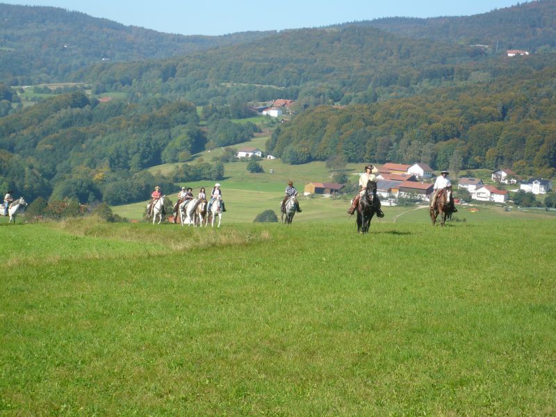Equitation western dans la forêt bavaroise