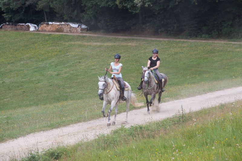 Equitation western dans la forêt bavaroise