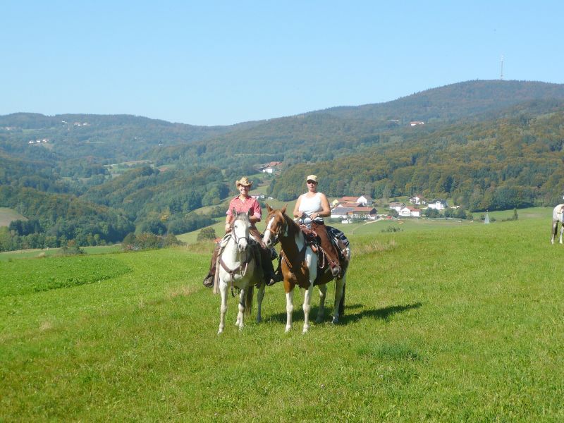 Equitation western dans la forêt bavaroise